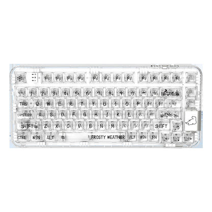 Bluetooth Wireless Transparent Gaming Mechanical Keyboard