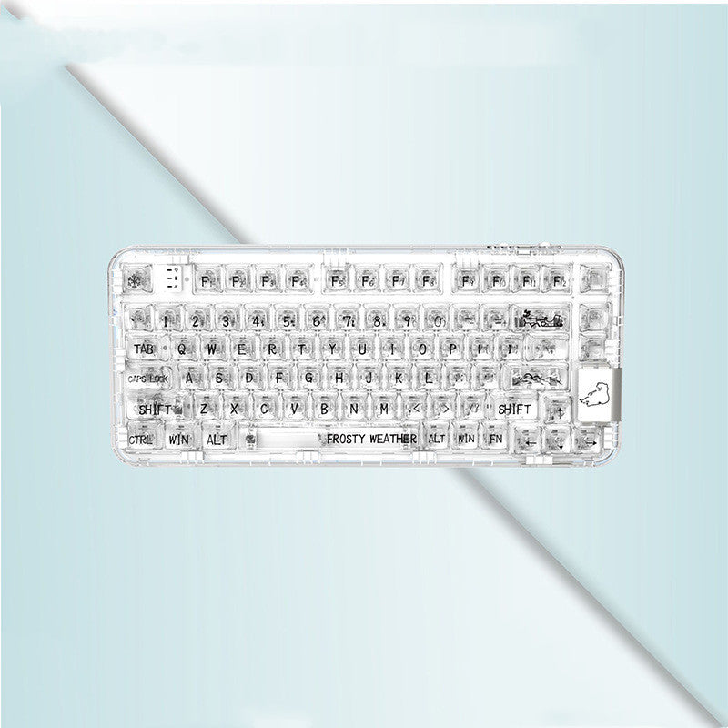 Bluetooth Wireless Transparent Gaming Mechanical Keyboard